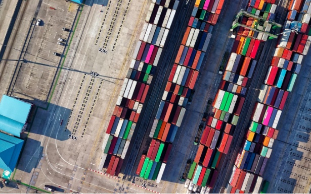 Douanesysteem DMS Kampt met Verstoring: Meer dan 140 Uur Onbeschikbaar in de Afgelopen Maand